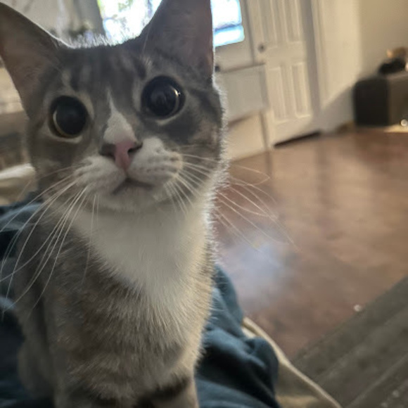 Meet your Posher, Evan - Picture 1 of 1